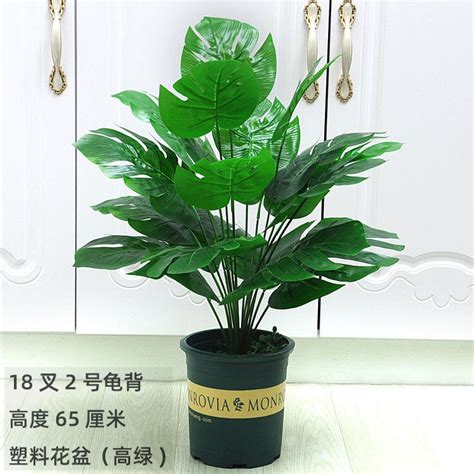 假植栽|仿真植物｜優惠推